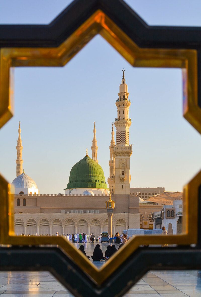 شركة مكافحة الحشرات بالمدينه