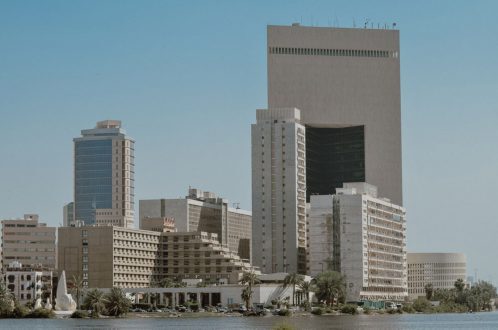 مكافحة الحشرات فى الرياض
