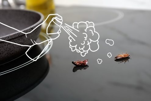 التخلص من صراصير المطبخ