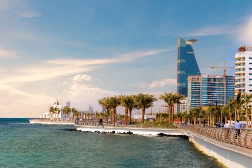 شركة مكافحة حشرات بجدة