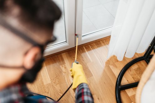 أشياء لا تخبرك بها شركات مكافحة الحشرات