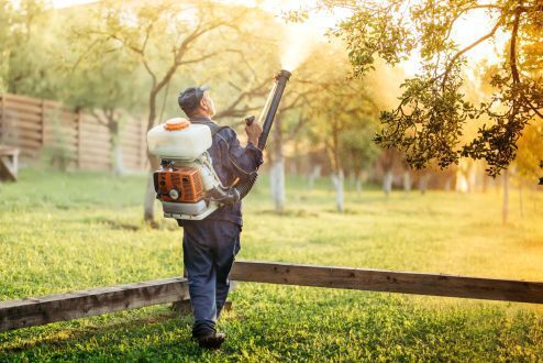 Mosquito Control in Jeddah