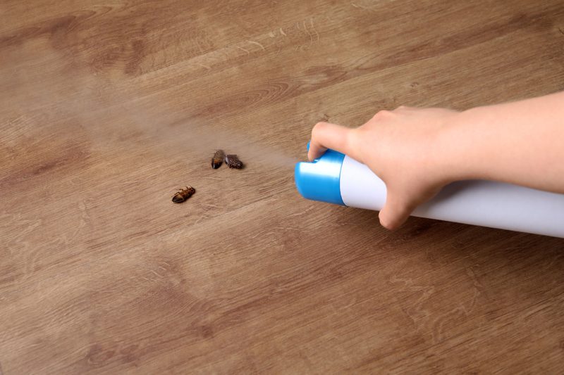 محاربة الصراصير في المنزل