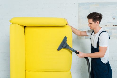 هل تساعد المكنسة الكهربائية في القضاء على البق