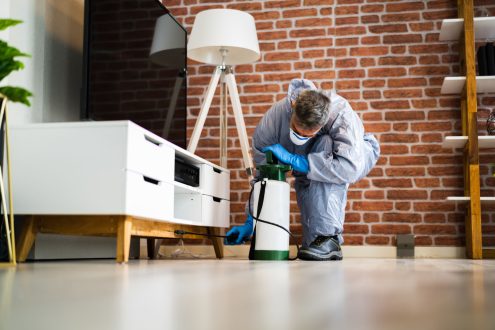 Prices of pest control in jeddah